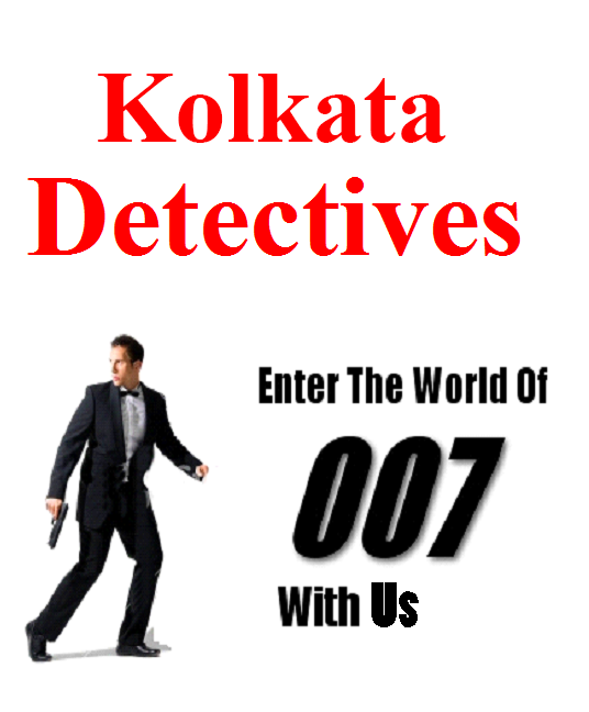 Hidden Private Detectives
